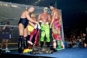 Sting's Squadron