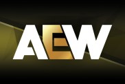 aew logo 2024