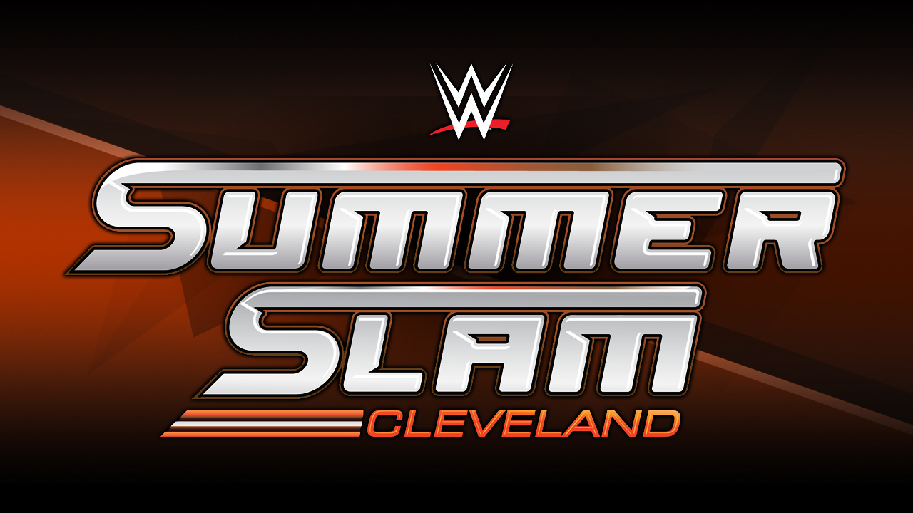 wwe-summerslam-results-8-3-24-punk-battles-mcintyre-more