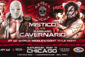 Mistico Barbaro