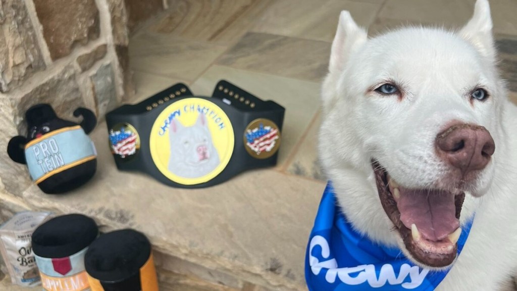 Pharaoh Rhodes WWE