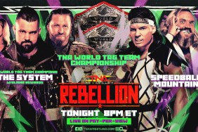 The System Speedball Mountain TNA Rebellion