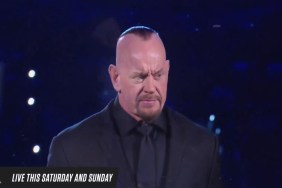 The Undertaker WWE Hall Of Fame