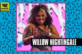 willow nightingale