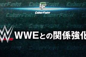 WWE CyberFight