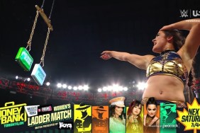 Lyra Valkyria WWE RAW WWE Money in the Bank