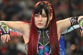 iyo sky WWE