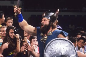 The Berzerker WWE