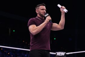 NIGEL MCGUINNESS