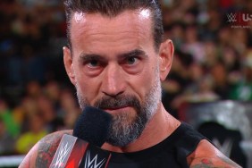 CM Punk WWE RAW