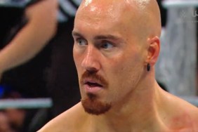 Giovanni Vinci/ Fabian Aichner in WWE SmackDown