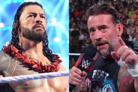 cm punk roman reigns