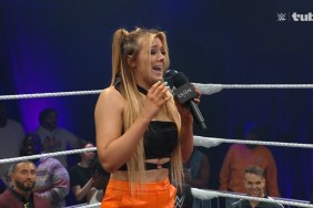 Stevie Turner WWE EVOLVE