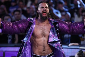 seth rollins
