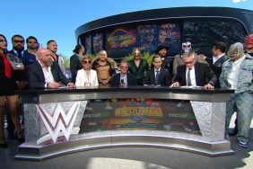 WWE AAA