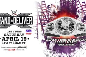 WWE NXT Stand & Deliver Women's North American Championship Ladder Match