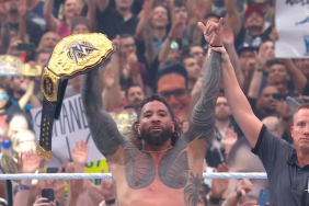 Jey Uso Wins World Heavyweight Title At WWE WrestleMania 41