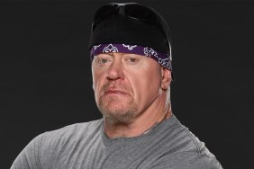 the undertaker wwe lfg
