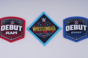 wwe patch program