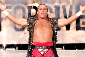 Shawn Michaels WWE