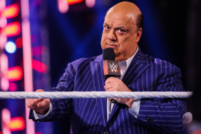 Paul Heyman WWE