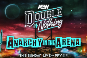 Surprising Members Of Anarchy In The Arena Match At AEW Double Or Nothing Revealed