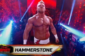 alex hammerstone