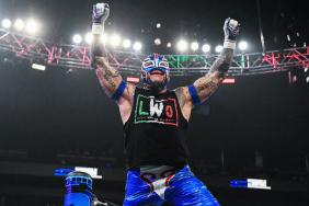 WWE Superstar Rey Mysterio