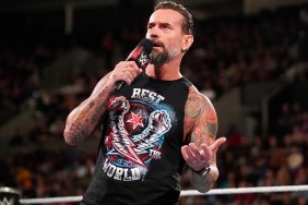 CM Punk WWE RAW