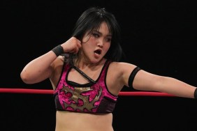 miyu yamashita