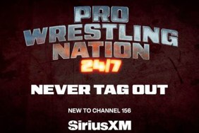 pro wrestling nation 24:7
