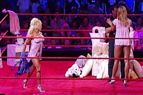 terri runnels lingerie pillow fight