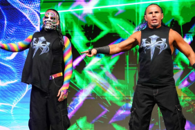 The Hardys TNA WWE Matt Hardy Jeff Hardy
