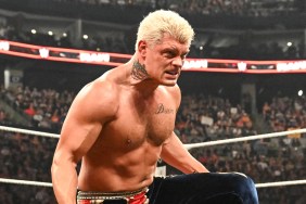 Cody Rhodes WWE
