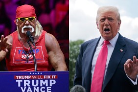 donald trump hulk hogan