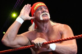 Hulk Hogan