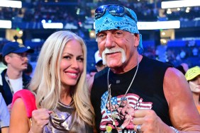 hulk hogan sky daily