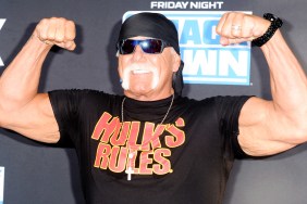 Hulk Hogan SmackDown