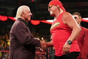 ric flair hulk hogan