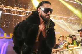 seth rollins WWE