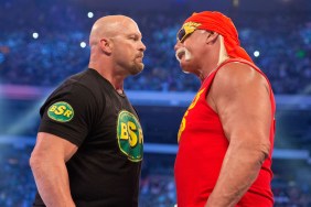 steve austin hulk hogan