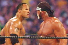 the rock hulk hogan