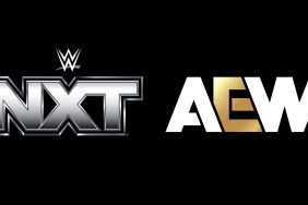 wwe nxt aew