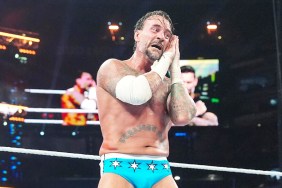 cm punk