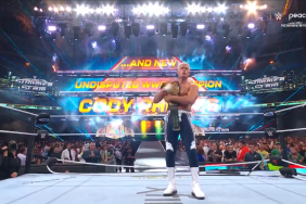 Cody Rhodes Wins Back WWE Championship At SummerSlam