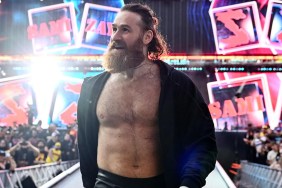 sami zayn