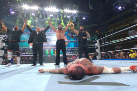 Seth Rollins Shocks The World, Cashes In At WWE SummerSlam