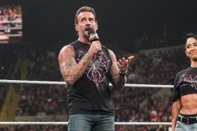 CM Punk AJ Lee