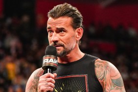 CM Punk