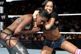 AJ Lee Naomi